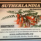 Sutherlandia (Cancer Bush) Capsules