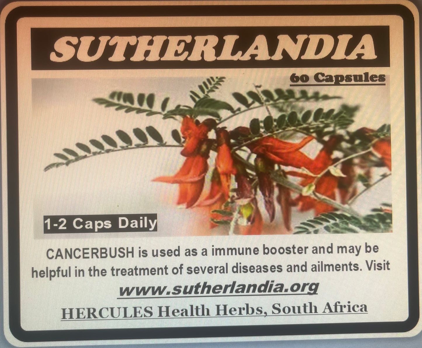 Sutherlandia (Cancer Bush) Capsules